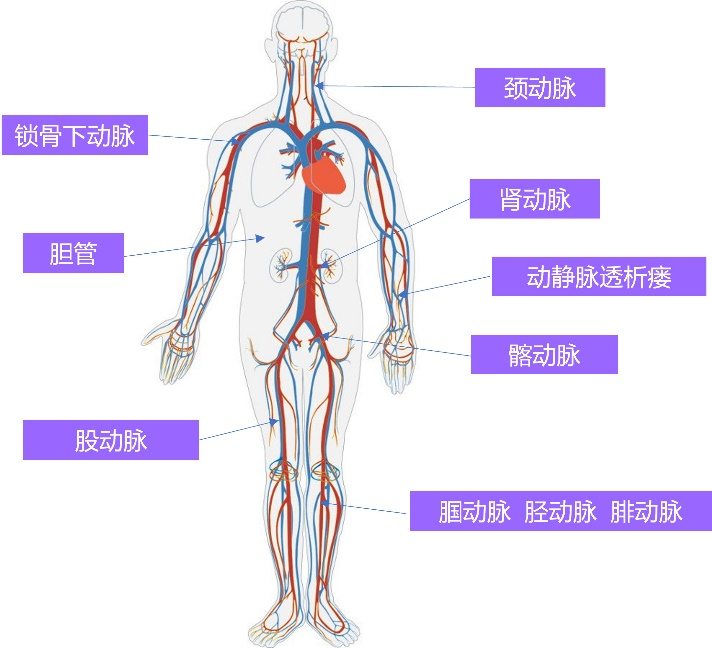 &#21326;&#20159;&#24179;&#21488;&#45;&#21326;&#20159;&#65288;&#20013;&#22269;&#65289;&#19968;&#31449;&#24335;&#26381;&#21153;&#24179;&#21488;